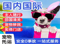 营口航空运输国际宠物托运 【国